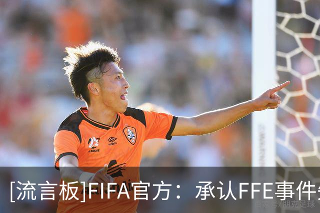 [流言板]FIFA官方：承认FFE事件失误，但不会再容忍对声誉的诋毁